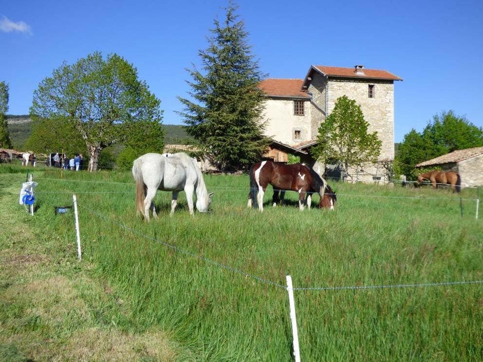 Le Relais Des Baronnies Hotel Montjay  Kültér fotó